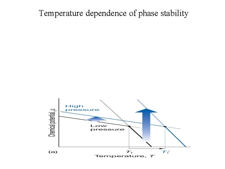 Temperature dependence of phase stability 