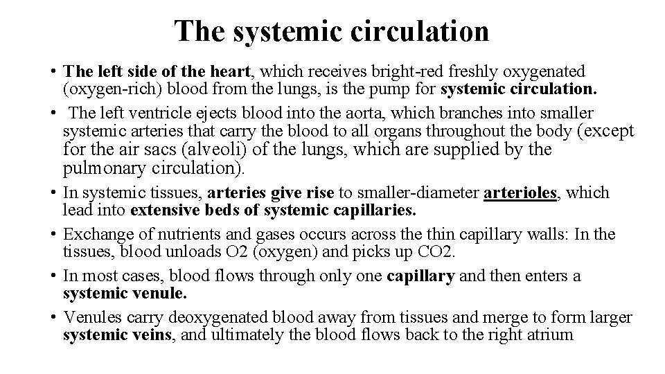 The systemic circulation • The left side of the heart, which receives bright-red freshly