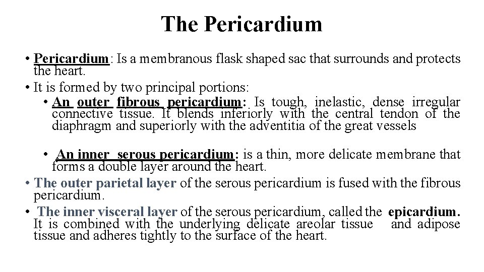 The Pericardium • Pericardium: Is a membranous flask shaped sac that surrounds and protects
