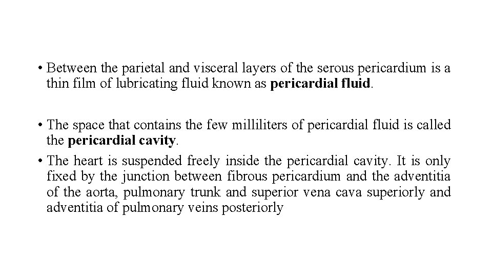  • Between the parietal and visceral layers of the serous pericardium is a