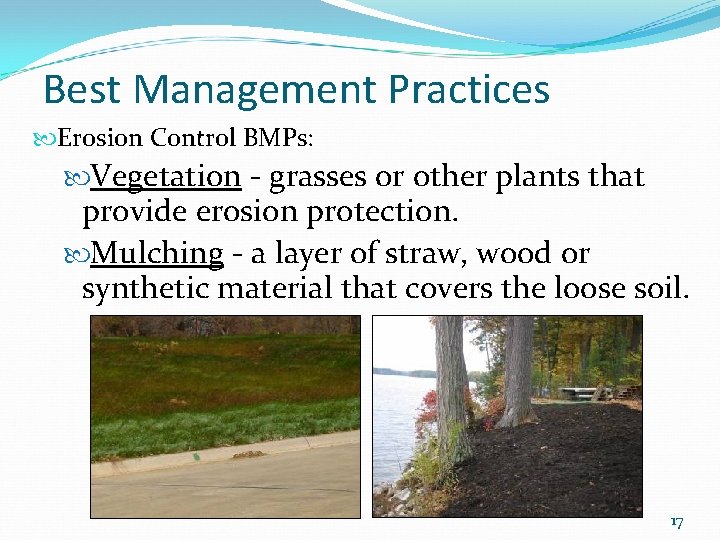 Best Management Practices Erosion Control BMPs: Vegetation - grasses or other plants that provide