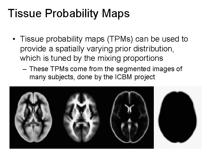Tissue Probability Maps • Tissue probability maps (TPMs) can be used to provide a