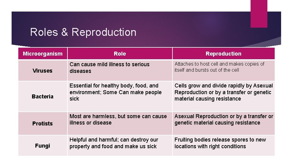 Roles & Reproduction Microorganism Role Reproduction Viruses Can cause mild illness to serious diseases