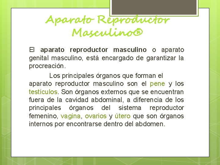 Aparato Reproductor Masculino® El aparato reproductor masculino o aparato genital masculino, está encargado de