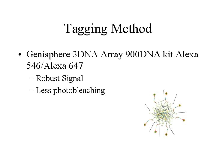 Tagging Method • Genisphere 3 DNA Array 900 DNA kit Alexa 546/Alexa 647 –