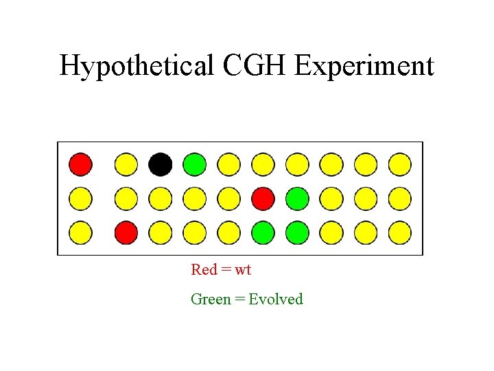Hypothetical CGH Experiment Red = wt Green = Evolved 