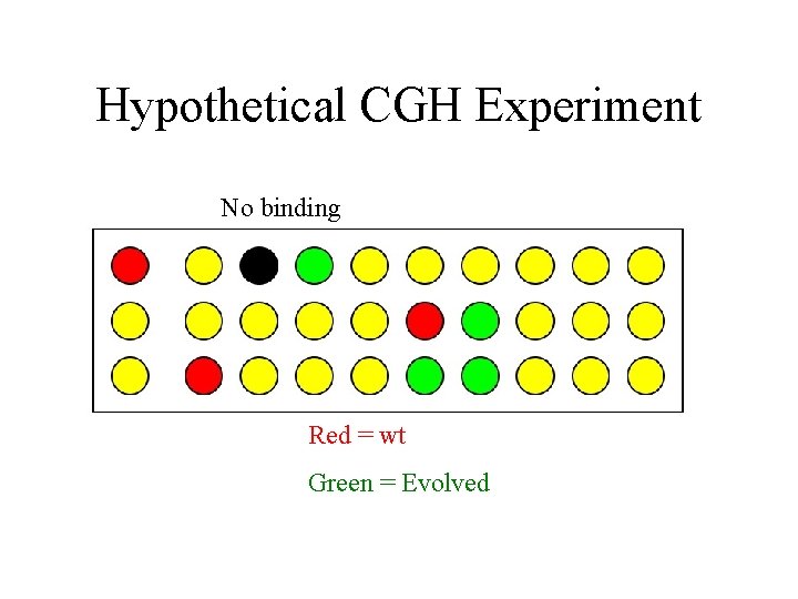 Hypothetical CGH Experiment No binding Red = wt Green = Evolved 