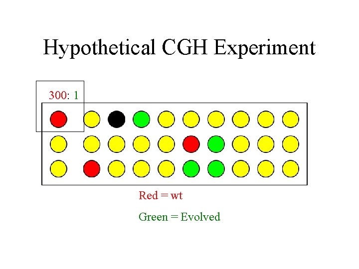 Hypothetical CGH Experiment 300: 1 Red = wt Green = Evolved 