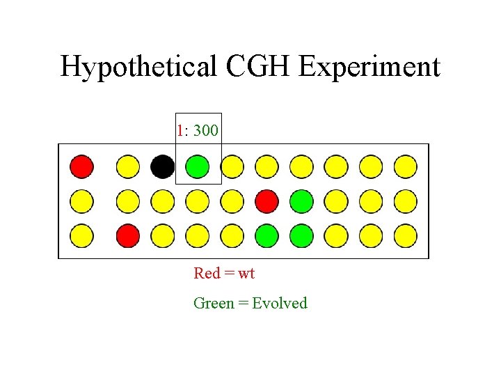 Hypothetical CGH Experiment 1: 300 Red = wt Green = Evolved 