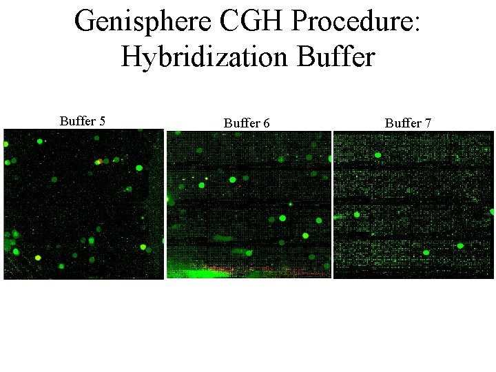 Genisphere CGH Procedure: Hybridization Buffer 5 Buffer 6 Buffer 7 