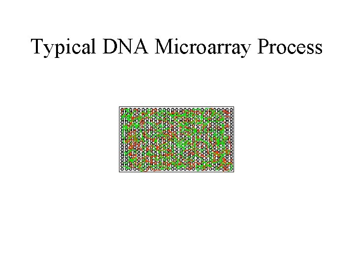 Typical DNA Microarray Process 