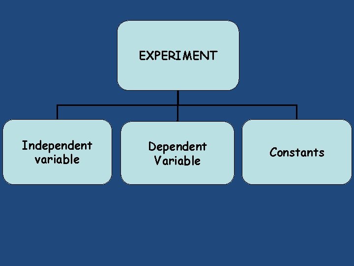 EXPERIMENT Independent variable Dependent Variable Constants EXPERIMENT Independent variable Dependent Variable Constants