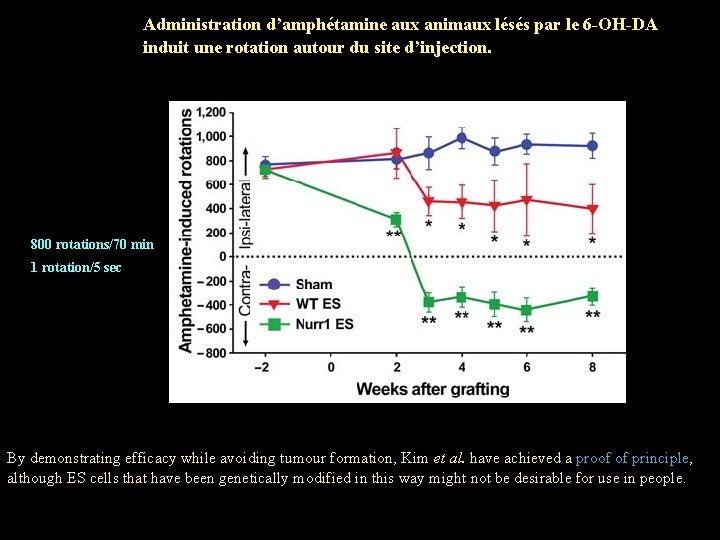 Administration d’amphétamine aux animaux lésés par le 6 -OH-DA induit une rotation autour du