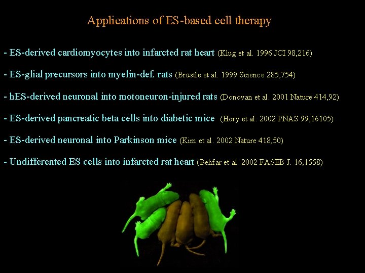 Applications of ES-based cell therapy - ES-derived cardiomyocytes into infarcted rat heart (Klug et