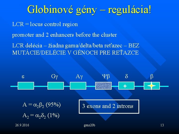 Globinové gény – regulácia! LCR = locus control region promoter and 2 enhancers before