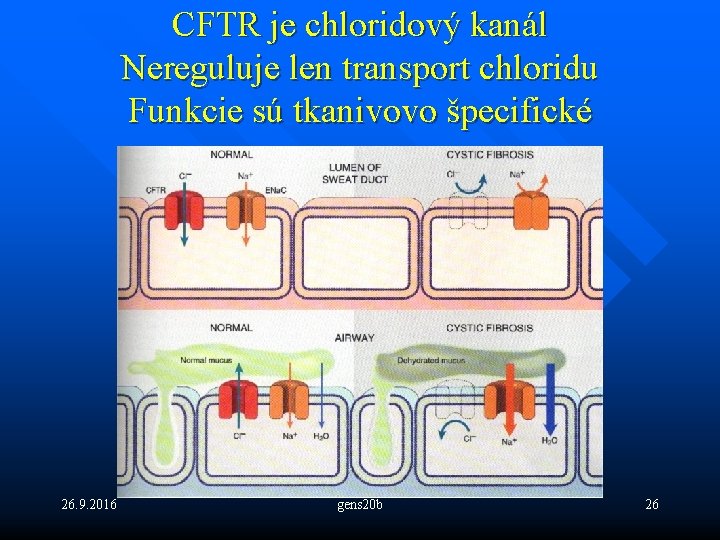 CFTR je chloridový kanál Nereguluje len transport chloridu Funkcie sú tkanivovo špecifické 26. 9.