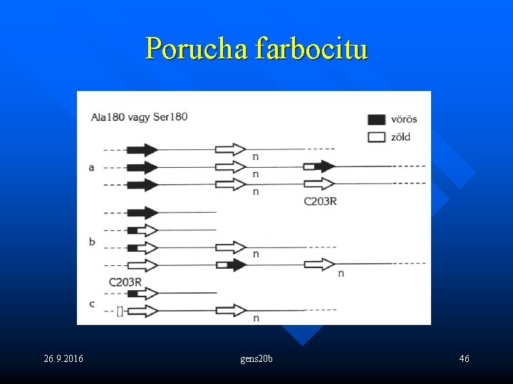 Porucha farbocitu 26. 9. 2016 gens 20 b 46 