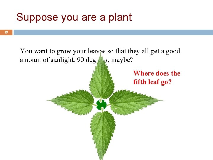 Suppose you are a plant 19 You want to grow your leaves so that