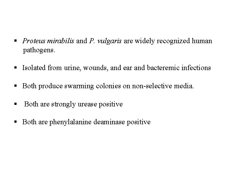 § Proteus mirabilis and P. vulgaris are widely recognized human pathogens. § Isolated from