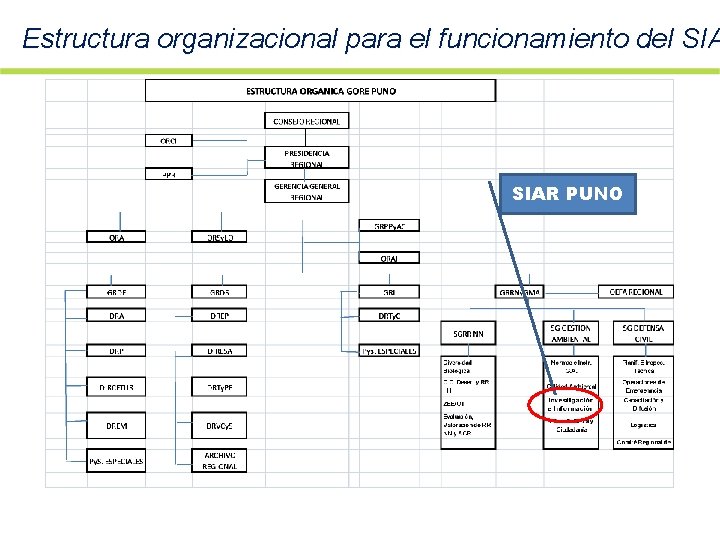 Estructura organizacional para el funcionamiento del SIAR PUNO 