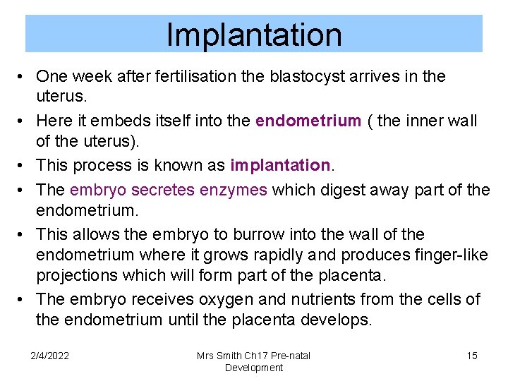 Implantation • One week after fertilisation the blastocyst arrives in the uterus. • Here