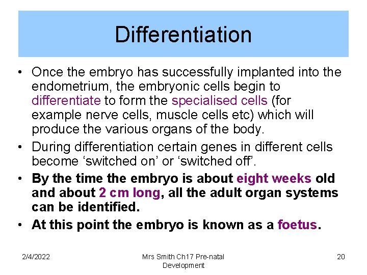 Differentiation • Once the embryo has successfully implanted into the endometrium, the embryonic cells