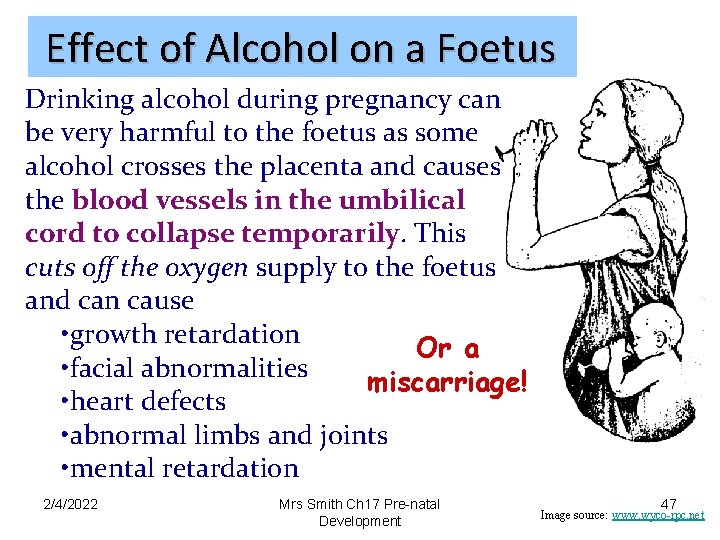 Effect of Alcohol on a Foetus Drinking alcohol during pregnancy can be very harmful