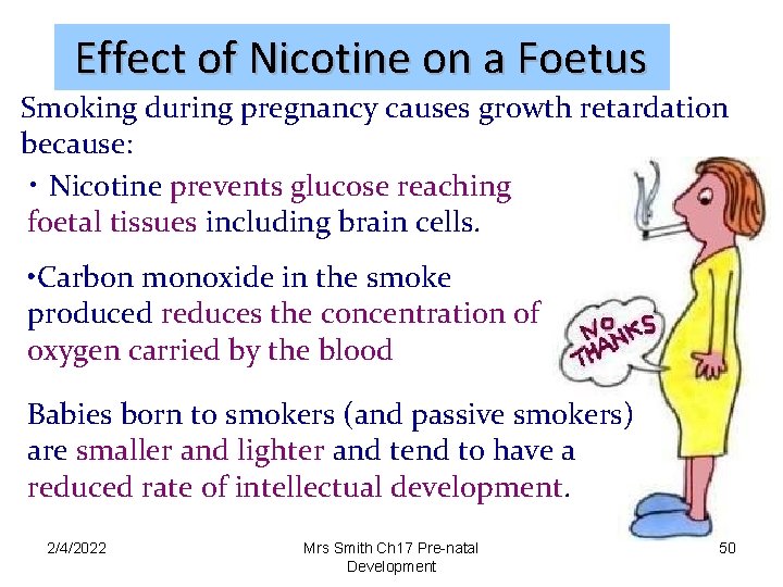 Effect of Nicotine on a Foetus Smoking during pregnancy causes growth retardation because: •