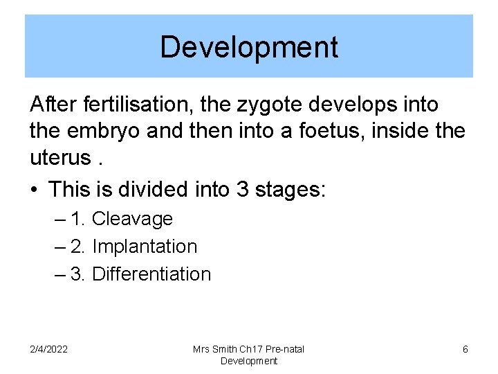 Development After fertilisation, the zygote develops into the embryo and then into a foetus,