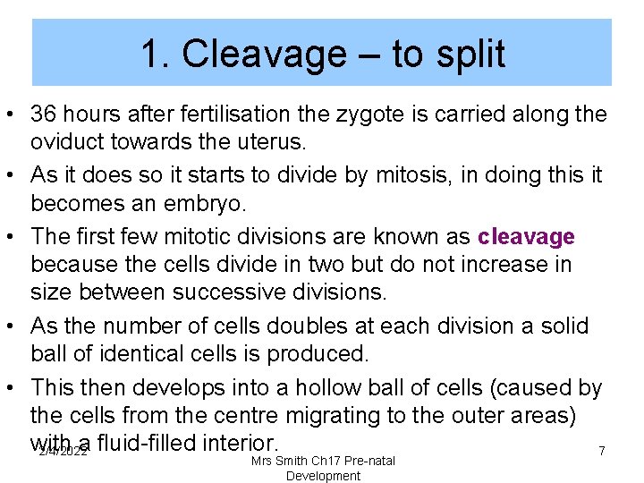 1. Cleavage – to split • 36 hours after fertilisation the zygote is carried