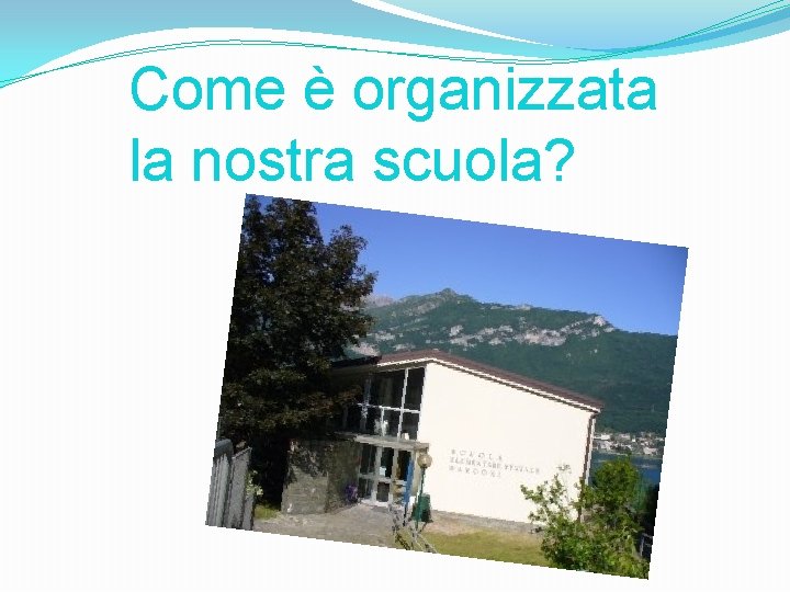 Come è organizzata la nostra scuola? 