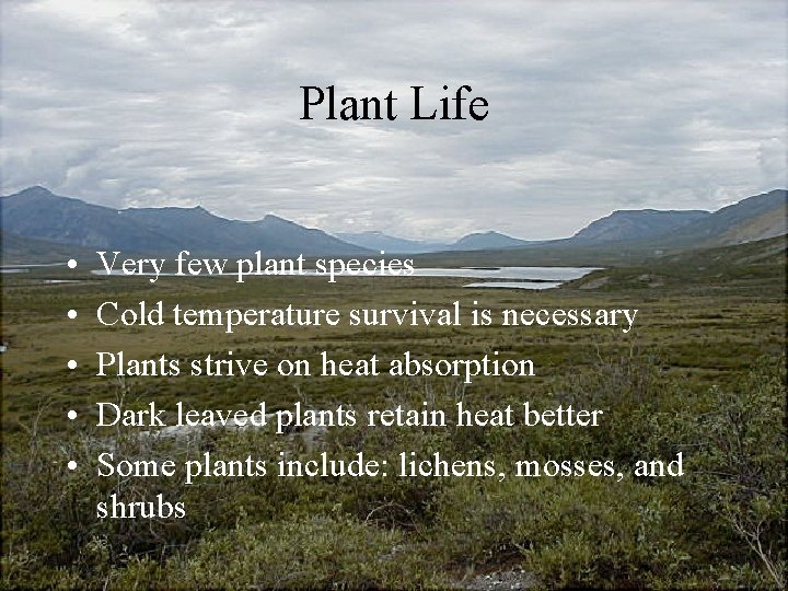 Plant Life • • • Very few plant species Cold temperature survival is necessary