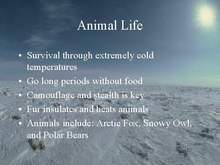 Animal Life • Survival through extremely cold temperatures • Go long periods without food