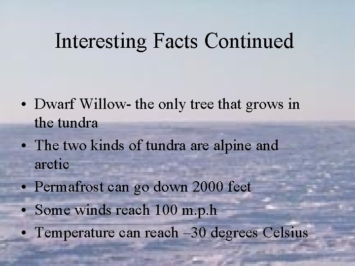 Interesting Facts Continued • Dwarf Willow- the only tree that grows in the tundra