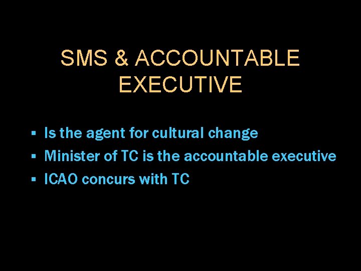 SMS & ACCOUNTABLE EXECUTIVE Is the agent for cultural change § Minister of TC