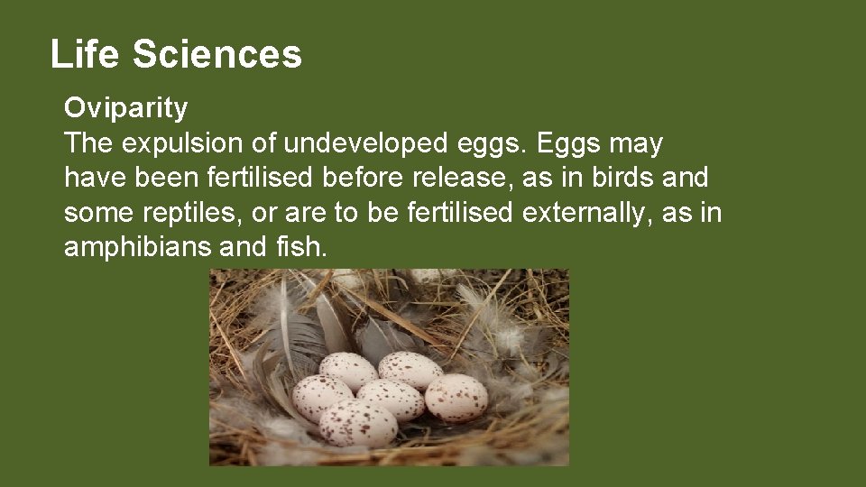 Life Sciences Oviparity The expulsion of undeveloped eggs. Eggs may have been fertilised before