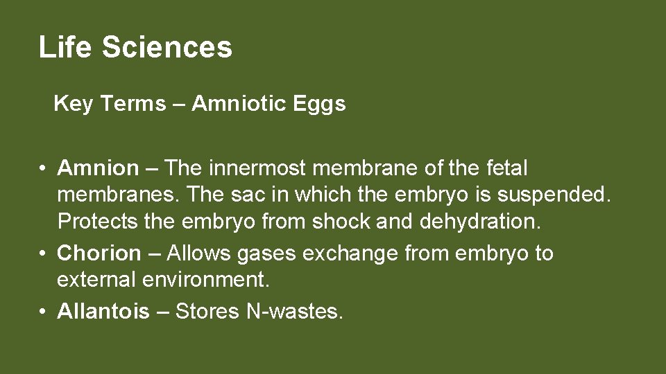 Life Sciences Key Terms – Amniotic Eggs • Amnion – The innermost membrane of