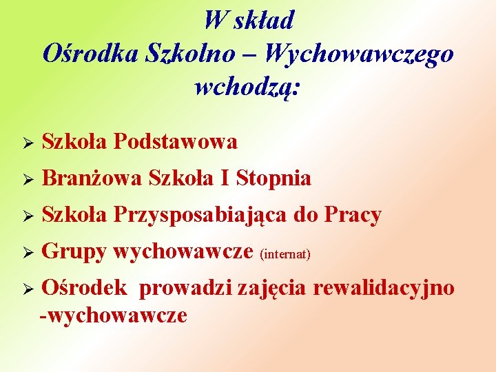 W skład Ośrodka Szkolno – Wychowawczego wchodzą: Ø Szkoła Podstawowa Ø Branżowa Szkoła I