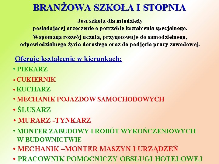 BRANŻOWA SZKOŁA I STOPNIA Jest szkołą dla młodzieży posiadającej orzeczenie o potrzebie kształcenia specjalnego.