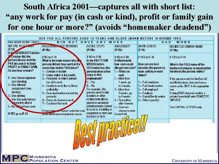 South Africa 2001—captures all with short list: “any work for pay (in cash or