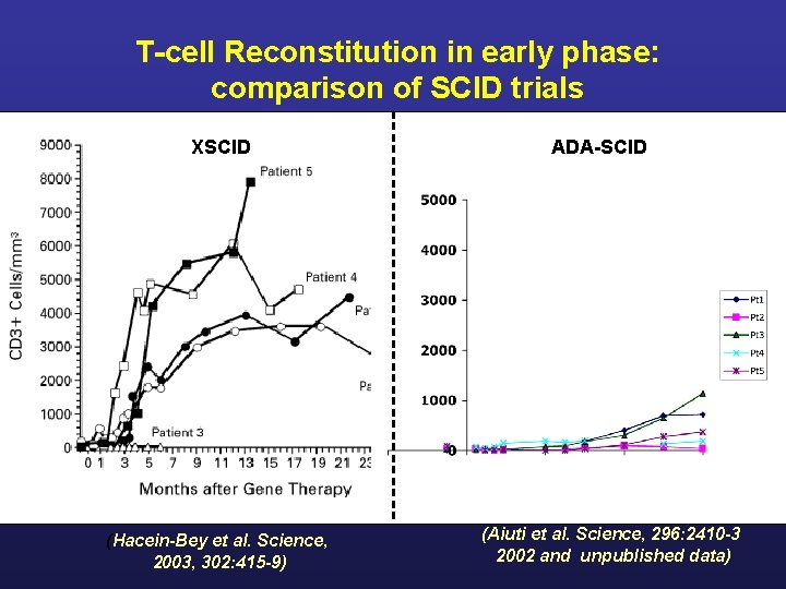 T-cell Reconstitution in early phase: comparison of SCID trials ADA-SCID T cells/microl XSCID X-SCID