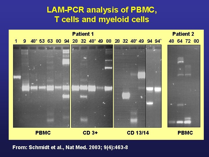 LAM-PCR analysis of PBMC, T cells and myeloid cells Patient 1 1 Patient 2