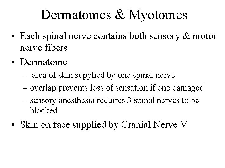 Dermatomes & Myotomes • Each spinal nerve contains both sensory & motor nerve fibers