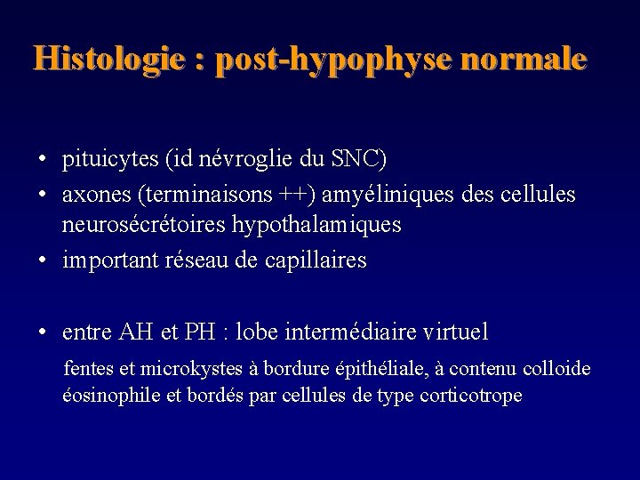 Histologie : post-hypophyse normale • pituicytes (id névroglie du SNC) • axones (terminaisons ++)