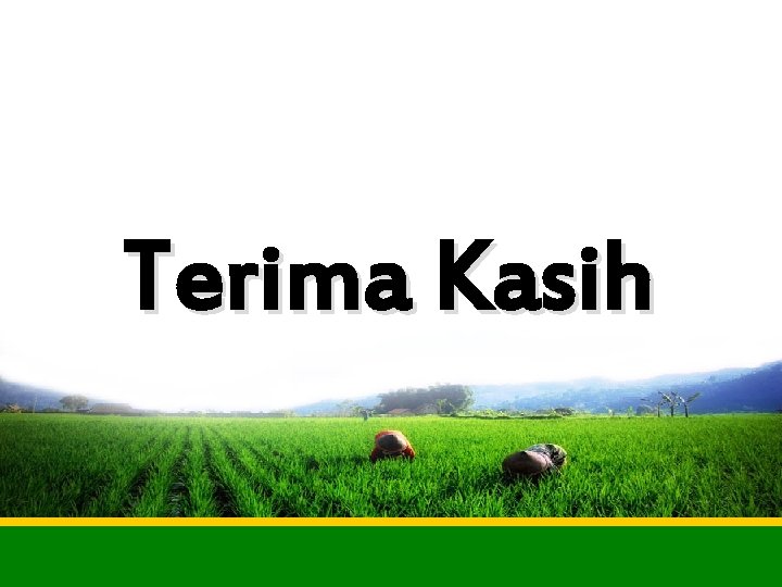 Terima Kasih 