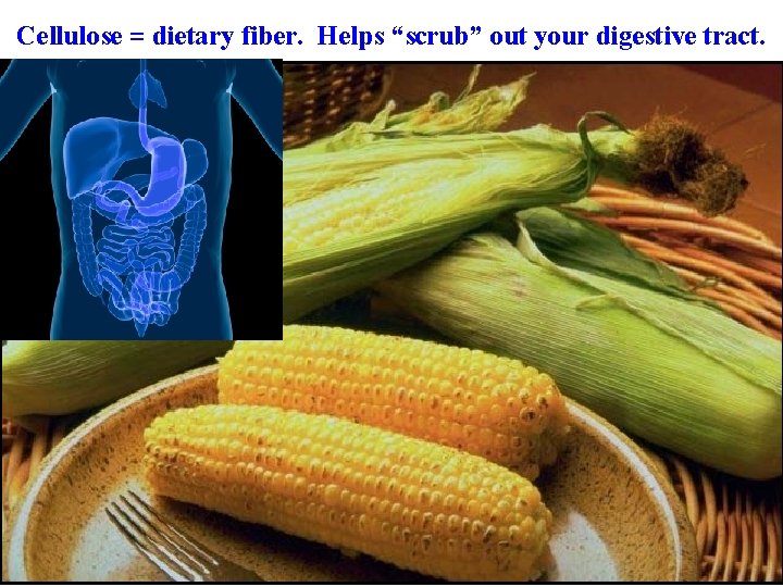 Cellulose = dietary fiber. Helps “scrub” out your digestive tract. 