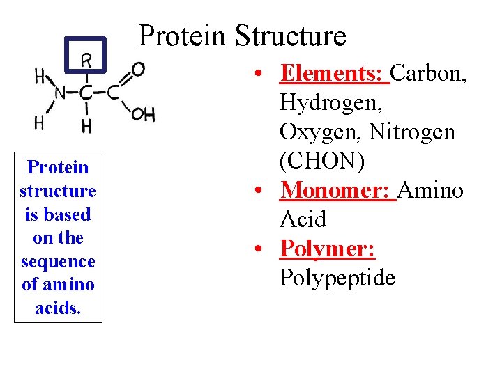 Protein Structure Protein structure is based on the sequence of amino acids. • Elements: