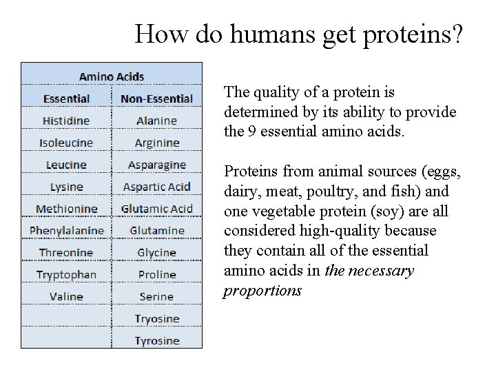 How do humans get proteins? The quality of a protein is determined by its