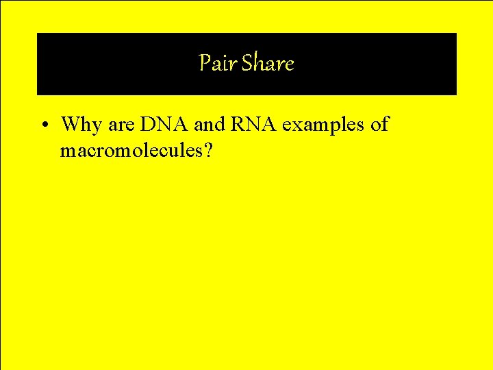 Pair Share • Why are DNA and RNA examples of macromolecules? 