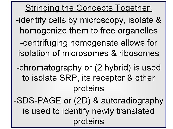 Stringing the Concepts Together! -identify cells by microscopy, isolate & homogenize them to free